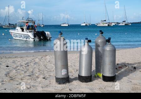 Plongée sous-marine sur l'île hollandaise des Caraïbes de St Martin Banque D'Images