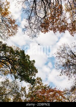 Drone survolant la forêt en automne Banque D'Images