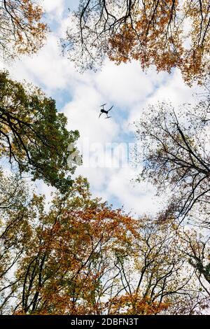 Drone survolant la forêt en automne Banque D'Images