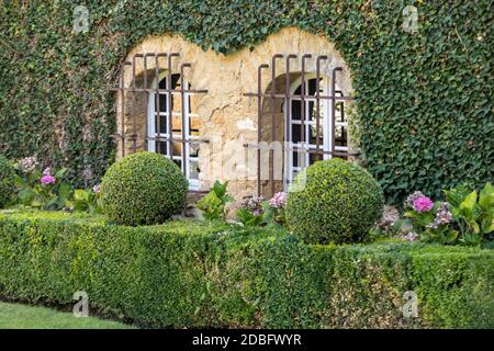 Arbustes de jardin entretenus. Balles de jardin vert en France Banque D'Images