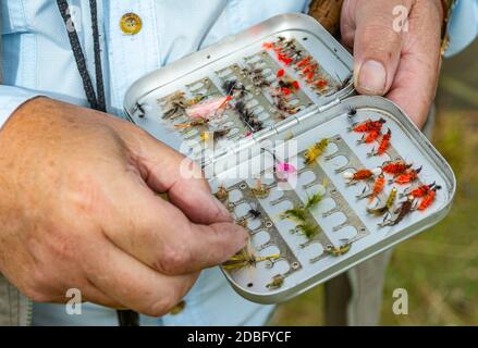 Tenant une boîte de mouches de pêche ou de leurres utilisés pour la pêche à la mouche, gros plan Banque D'Images