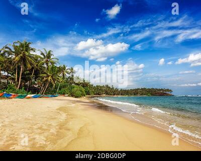 Paradis tropical plage idyllique. Mirissa, Sri lanka Banque D'Images