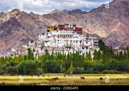 Monastère Thikse Gompa ou Thikse (également translittéré de Ladakhi comme Tikse, Tiksey ou Thiksey) - monastère bouddhiste tibétain du chapeau jaune (Gelugp Banque D'Images