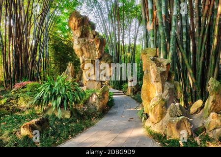 Chemin dans la forêt de bambous brove dans le pavillon Wangjiang (Tour Wangjiang) Parc Wangjianglou. Chengdu, Sichuan, Chine Banque D'Images