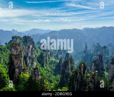 Célèbre attraction touristique de la Chine - Zhangjiajie piliers de pierre montagnes de falaise à Wulingyuan, Hunan, Chine Banque D'Images