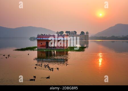 Matin tranquille au célèbre site touristique indien Jal Mahal (Palais de l'eau) au lever du soleil à Jaipur. Canards et oiseaux autour de profiter de la matinée sereine. Jai Banque D'Images