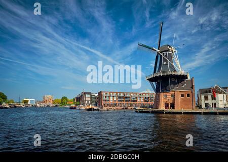 Vue sur le site touristique de Harlem, moulin à vent de Adriaan, sur la rivière Spaarne. Harlem, pays-Bas Banque D'Images