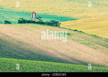 Vintage rétro effet filtre style hipster image de l'Europe rurale arrière-plan - Moravian paysage roulant avec chack de la tour de chasse au coucher du soleil. Moravie, Banque D'Images