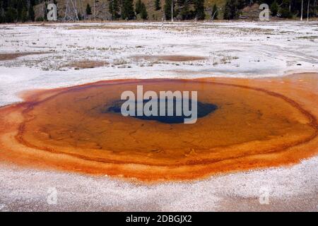 Bassins de source orange dans le parc national de Yellowstone Banque D'Images