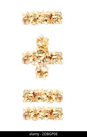 Signe plus, signe moins et signe égal fait de copeaux de crayon pour votre projet. Banque D'Images