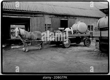 Allemagne de l'est 1990 scannés dans 2020 Street Life dans le village frontalier de Gladenstedt. Allemagne de l'est, Deutsche Demokratische Republik le DDR après la chute du mur mais avant la réunification mars 1990 et scanné en 2020.l'Allemagne de l'est, officiellement la République démocratique allemande, était un pays qui existait de 1949 à 1990, La période où la partie orientale de l'Allemagne faisait partie du bloc de l'est pendant la Guerre froide. Banque D'Images