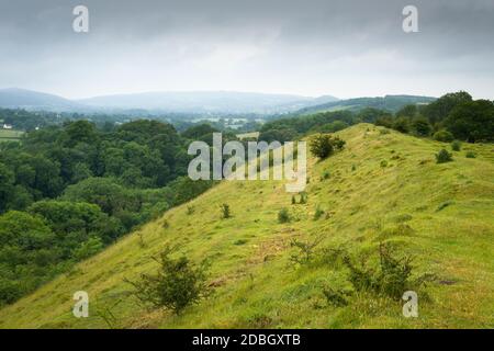 Le fort de l'âge de fer à Dolebury Warren dans le paysage national de Mendip Hills, North Somerset, Angleterre. Banque D'Images