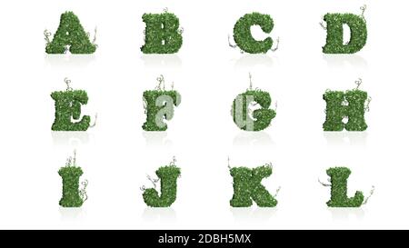 Lettres A-L créées de feuilles de lierre verte dans une vue d'ensemble - isolées sur un fond blanc Banque D'Images