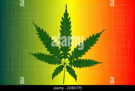 Une feuille de cannabis isolated over a white background. Banque D'Images