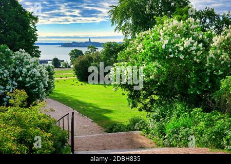 Paysage du début de l'été du parc Kaivopuisto, Helsinki, Finlande avec vue sur la mer et les îles Suomenlinna. Des deux côtés de la trajectoire, il y a fr Banque D'Images