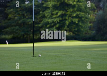 Golf Proche, beau paysage d'un court de golf avec des arbres et l'herbe verte Banque D'Images