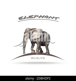 Faune - Eléphant avec des lettres de nom - isolé sur fond blanc Banque D'Images