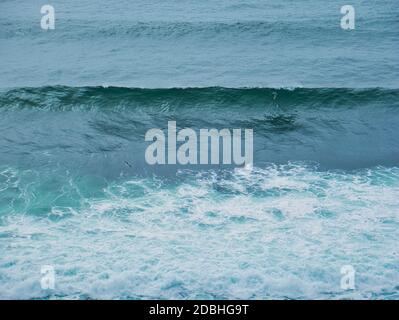 Surfeur sur la côte californienne sur une vague Banque D'Images