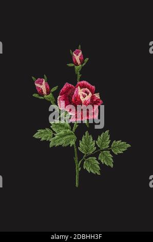 Motif 3D pour roses brodées avec pétales rouge-rose sur un branche avec feuilles et bourgeons verts sur fond noir Banque D'Images