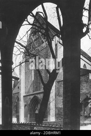 Cette photo, prise vers 1930, montre l'église du monastère franciscain de Berlin-Mitte vue de l'ancien cloître. Il y a un châtaignier dans la cour intérieure. Banque D'Images