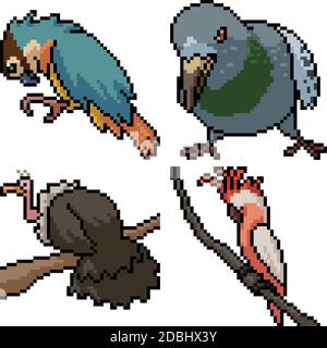 pixel art set oiseau sauvage isolé Illustration de Vecteur