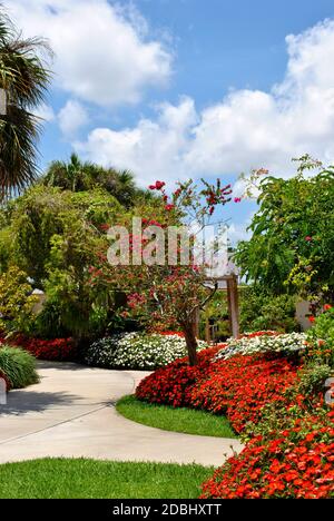 Jardin des papillons Miami le jardin des ailes des Tropiques dans Miami Floride Banque D'Images