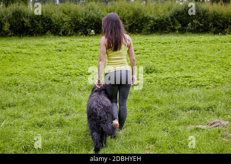 Vue arrière de la femme qui marche avec le briard noir à poil long dans le parc public en été. Femme blanche avec grand chien extérieur. Banque D'Images