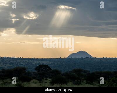 Nuages de tempête et rayons de Dieu dans le parc national de Tarangire, Tanzanie, Afrique de l'est, Afrique Banque D'Images