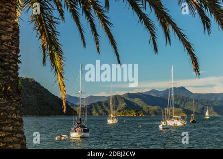 Bateaux à voile au port de Picton, Marlborough Sounds, South Island, Nouvelle-Zélande, Pacifique Banque D'Images