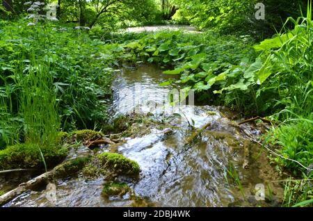 Petit paysage d'étang dans le Rhön Banque D'Images