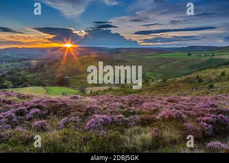 Vue de la bruyère fleurie sur Stanage Edge et Hope Valley au coucher du soleil, Hathersage, Peak District National Park, Derbyshire, Angleterre, Royaume-Uni Banque D'Images