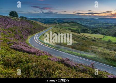 Vue de la bruyère fleurie sur Stanage Edge et Hope Valley au coucher du soleil, Hathersage, Peak District National Park, Derbyshire, Angleterre, Royaume-Uni Banque D'Images