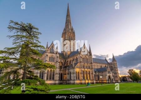 Vue sur la cathédrale de Salisbury au crépuscule, Salisbury, Wiltshire, Angleterre, Royaume-Uni, Europe Banque D'Images