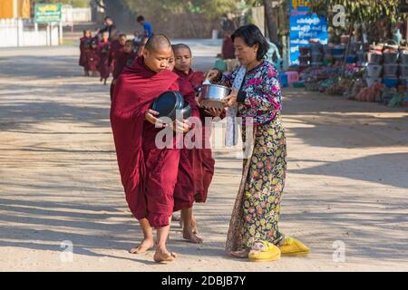 Procession de moines bouddhistes collectant des almes à Bagan, Myanmar (Birmanie), Asie en février - des femmes locales donnant du riz et de la nourriture Banque D'Images