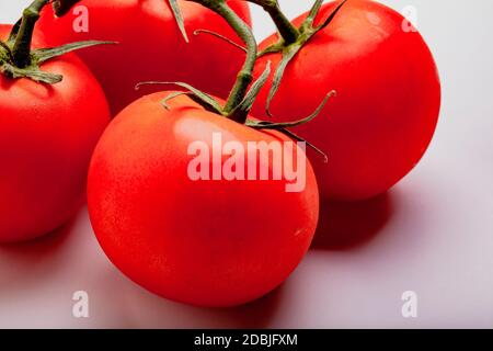 Les tomates juteuses humides sur la vigne Banque D'Images
