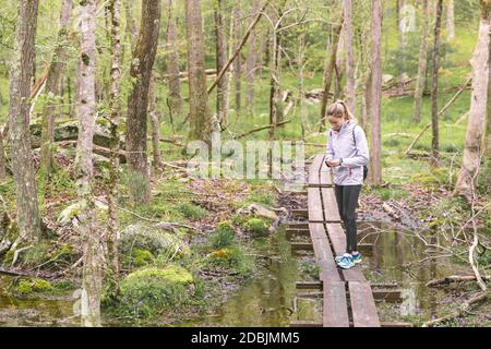 Femme randonnée en forêt, West Greenwich, Rhode Island, Etats-Unis Banque D'Images