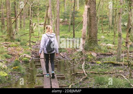 Femme randonnée en forêt, West Greenwich, Rhode Island, Etats-Unis Banque D'Images