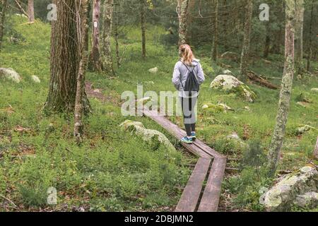 Femme randonnée en forêt, West Greenwich, Rhode Island, Etats-Unis Banque D'Images