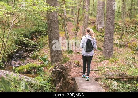 Femme randonnée en forêt, West Greenwich, Rhode Island, Etats-Unis Banque D'Images