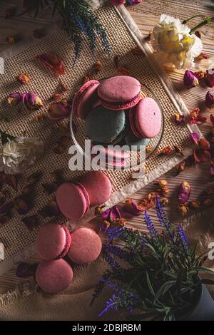 Plat de macarons savoureux dans un bol en verre, concept STILL Life Banque D'Images