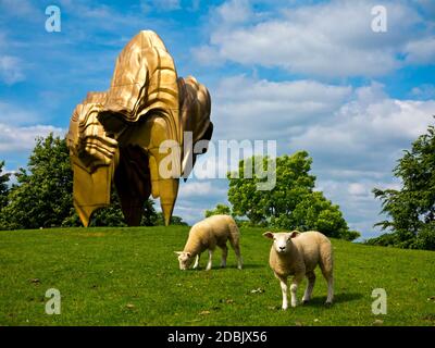 Pâturage des moutons au Yorkshire Sculpture Park Wakefield England UK en 2017 près de la sculpture en bronze Caldera par Tony Cragg créé en 2008. Banque D'Images