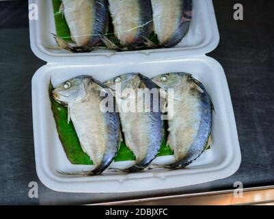 Maquereaux corsés en panier rond en bambou, poissons populaires sur le marché de Mahachai Samut Songkhram Thaïlande, poissons de maquereau vapeur dans le bask de fome Banque D'Images