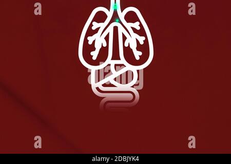 Poumons infectés par le coronavirus. Illustration des poumons d'une personne. Banque D'Images