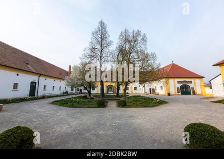 Schloss Hof, style baroque par l'architecte Johann Lukas von Hildebrandt , Marchfeld, Autriche Banque D'Images