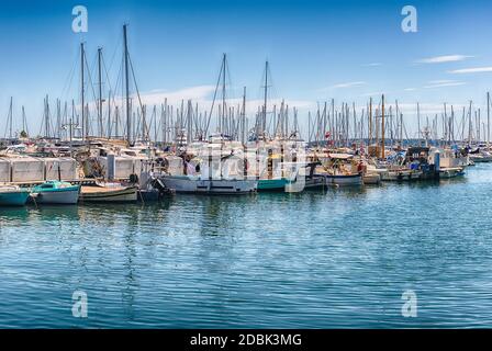 Vue sur les bateaux du Vieux Port dans le quartier du Suquet, le centre-ville et le vieux port de Cannes, Côte d'Azur, France Banque D'Images