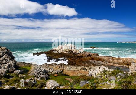 La côte d'Hermanus en Afrique du Sud Banque D'Images