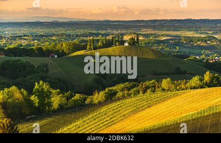 Coucher de soleil sur le paysage viticole de Styrie du Sud à Steiermark, Autriche. Magnifique destination tranquille à visiter pour le célèbre vin blanc. Par Banque D'Images