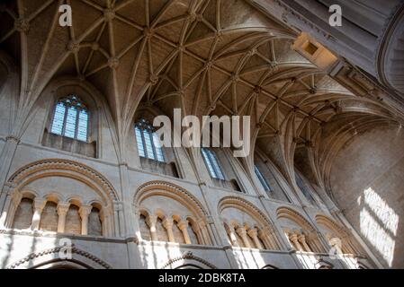 Malmesbury, Wiltshire, Angleterre, Royaume-Uni. 2020. Le toit voûté de Lierne au-dessus de la nef à l'abbaye de Malmesbury, Royaume-Uni. Banque D'Images