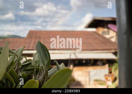 Toit de maison d'époque avec ciel nuageux, photo de stock Banque D'Images