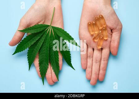Vue de dessus sur la main des femmes tenant une feuille de cannabis et capsules avec de l'huile de chanvre Banque D'Images